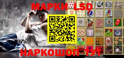 гидропоника Камышлов