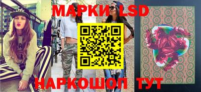 гидропоника Камышлов