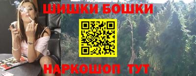 гидропоника Камышлов
