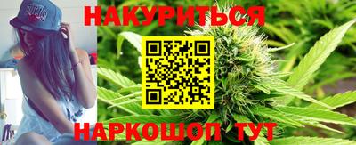 гидропоника Камышлов
