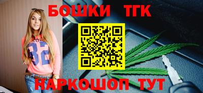гидропоника Камышлов