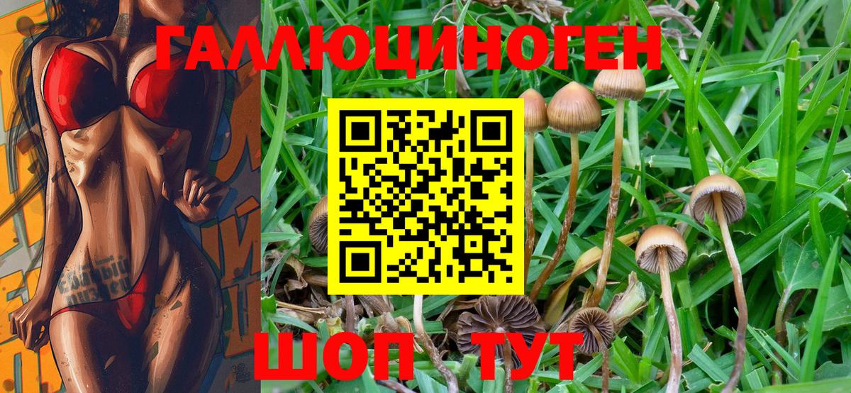 Псилоцибиновые грибы ЛСД  Вход с VPN  Геленджик  Псилоцибиновые грибы MAGIC MUSHROOMS 