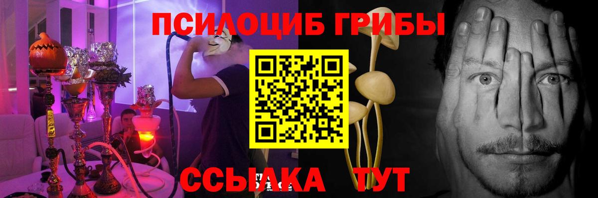 Галлюциногенные грибы мухоморы Геленджик